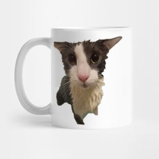 Soggy Cat Mug